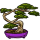 item_bonsai_tree.gif