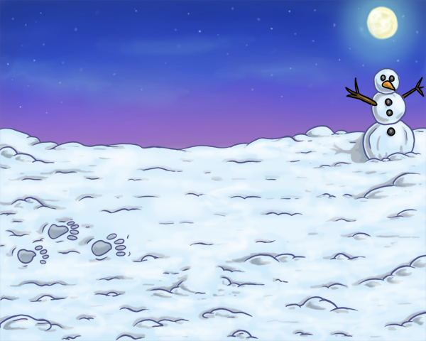 Snowy Field
